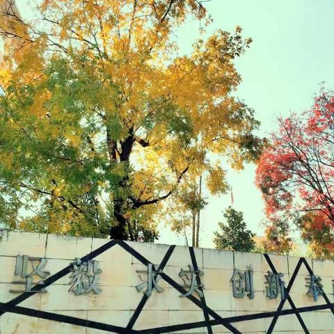 昆明八中“创城”系列活动之“我眼中的八中”优秀摄影绘画作品展