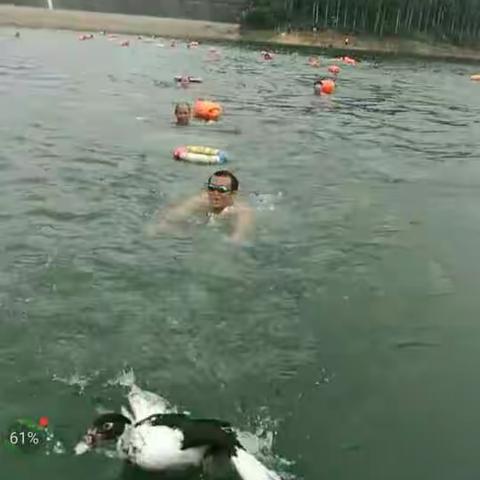 博白县游泳协会三周年庆典……水上抢鸭，爽！