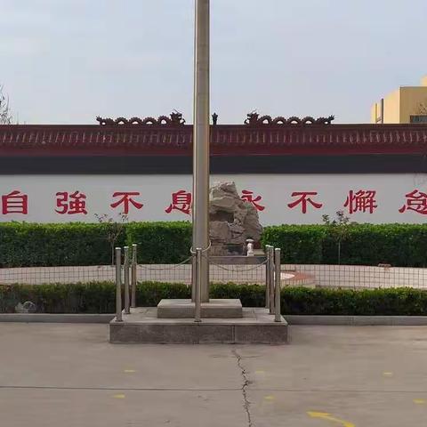 居家练不停，一起来抗疫！盛华学校线上体质达人赛