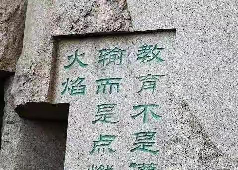 真诚对话，协作向前。