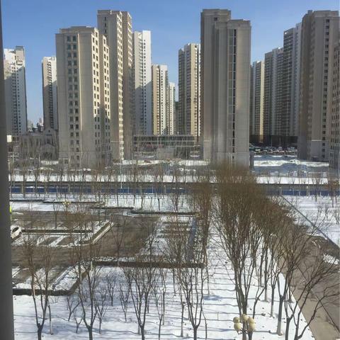 阳光下的雪景