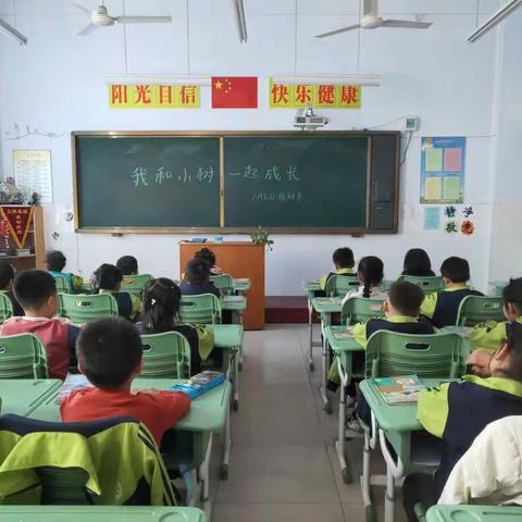 我与小树共成长