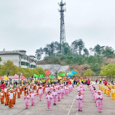 新干县小明星幼儿园大型森林亲子运动会