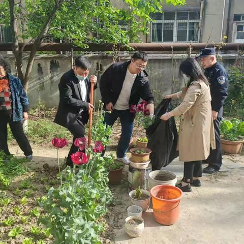 禁种铲毒一直在行动