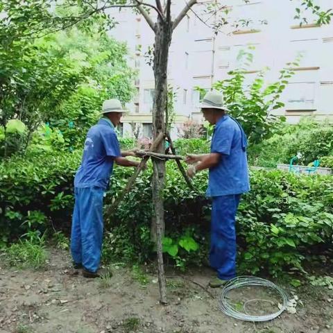尚品清河社区积极备战台风“烟花”防汛安全工作