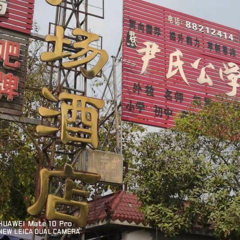 安仁羊安培训机构详情