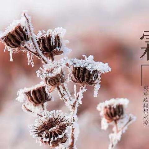 习传统文化，做当代少年，新源县第一小学二十四节气特色课程——霜降