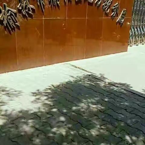 青春的气息 因实践更有意义