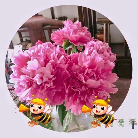 2018．又是一年牡丹．芍药开