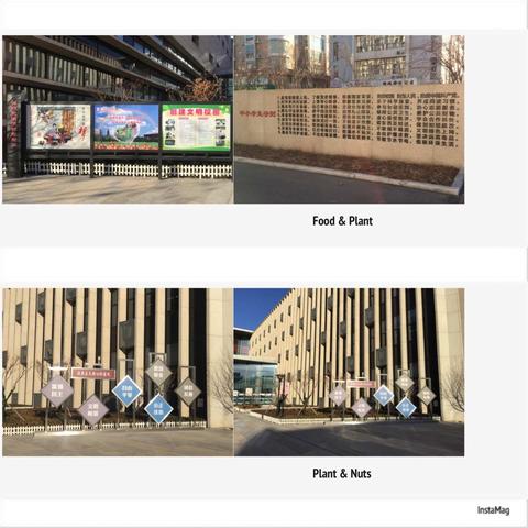 开发区一中创文迎检模拟路线20181217