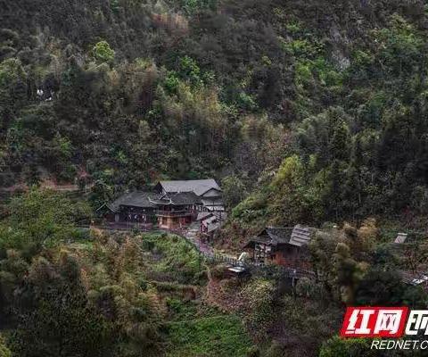 春雨、晓雾、炊烟，山里让人乐不思归