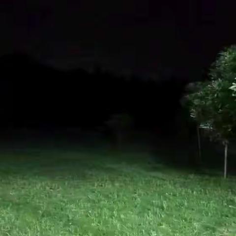 六一溜娃啦——蹦哒蹦哒和夏天撞个满怀