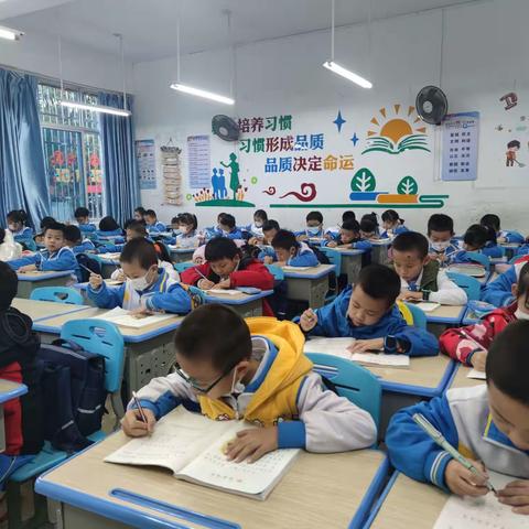 2022-2023学年度第一学期27小启航一年级第十五周走课记录