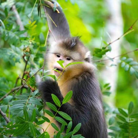 2020年8月，滇北行记（6）