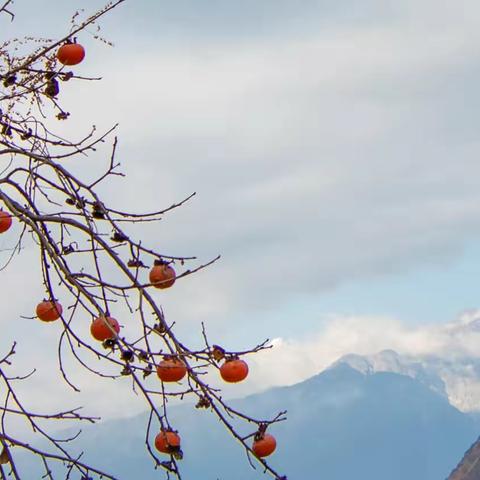 2021年1月，滇川行-1
