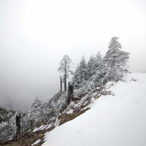 2021年1月，滇川行-2
