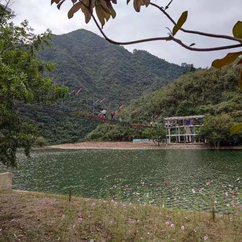 烟雨太平湖  (三)