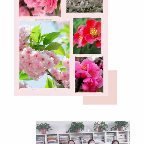 凝心聚力 砥砺前行——九年级语文中考复习研讨课