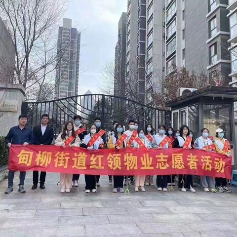 红领志愿展风采,雷锋精神永流传-甸柳街道红领物业志愿服务助力社区治理