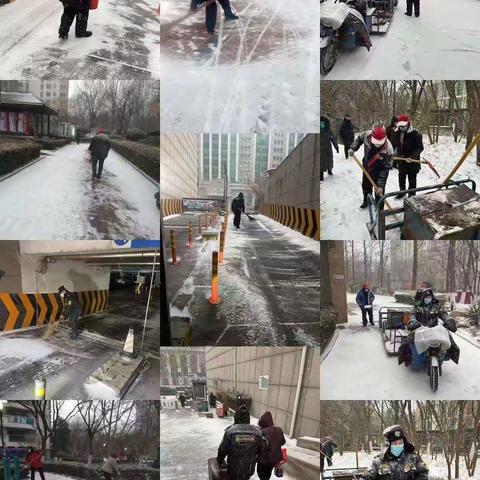 瑞雪兆丰年，扫雪保出行—甸柳新村物业企业积极做好清雪除冰工作