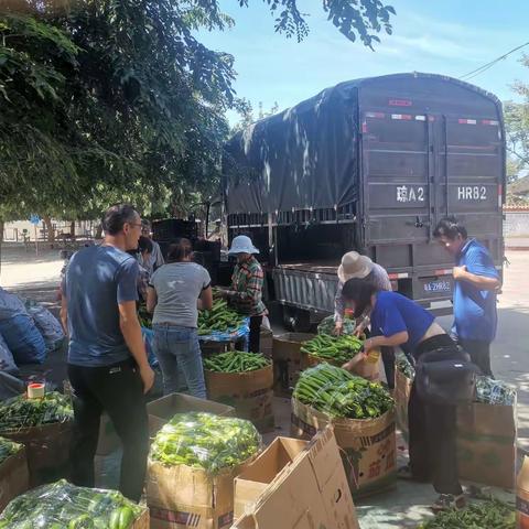 四更镇旦场园驻村工作队抗击疫情，为农户农产品联系销路