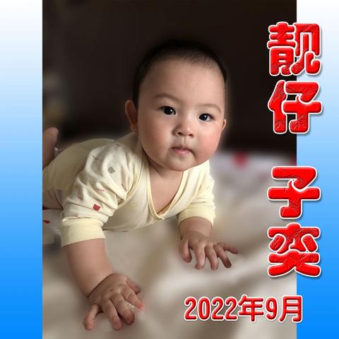 汪武工作坊的美篇