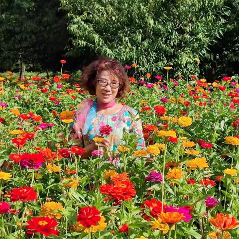 汪武工作坊的美篇