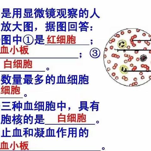 【小学科学】生物学知识