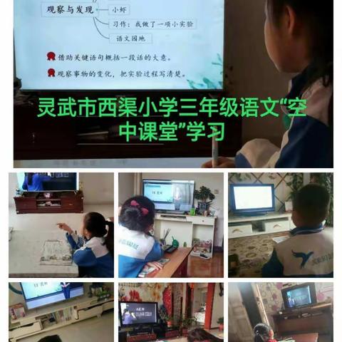 战疫情共克时艰，学不停携手共进——西渠小学语文组线上教学进行时