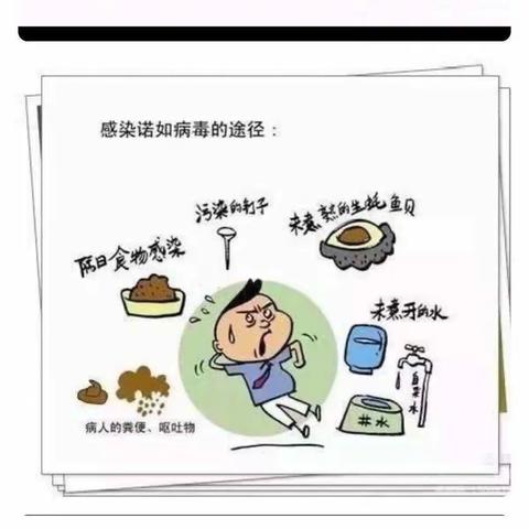 “预防诺如病毒，呵护幼儿健康”———桥头镇中心幼儿园大一班———预防诺如病毒小知识