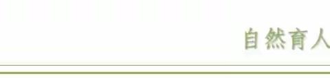 共同学习，“卓越”成长——大战场镇马莲梁幼儿园