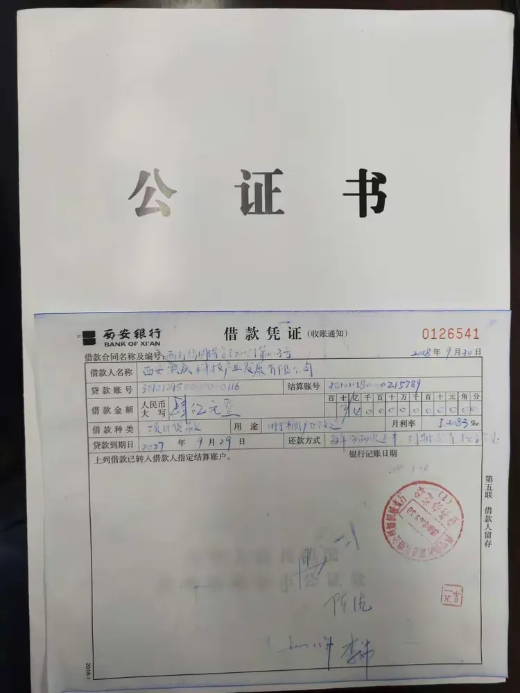 关于取得西安银行贷款授信批复的有关情况的汇报