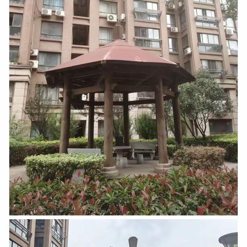 【社区治理】小“破损”及时修  守护安全大问题