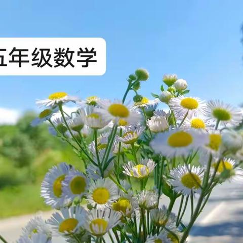 “五”动数学，魅力在线