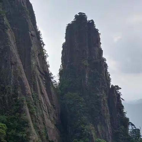 若雨的美篇