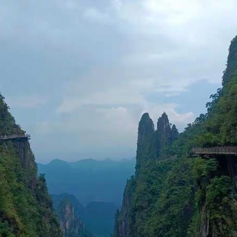 若雨的美篇