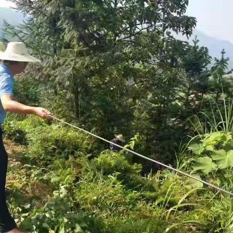 【上饶县分公司“保用户、促增长”在行动】------各行动组动态