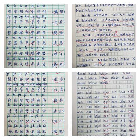 马家堡中小学校优秀作业家长投票活动（语文组）