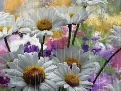 夏雨绵绵，降低了气温，从38度降到现在的22度至26度，好似春回大地了。