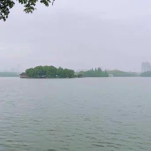 九月走园-天井湖公园