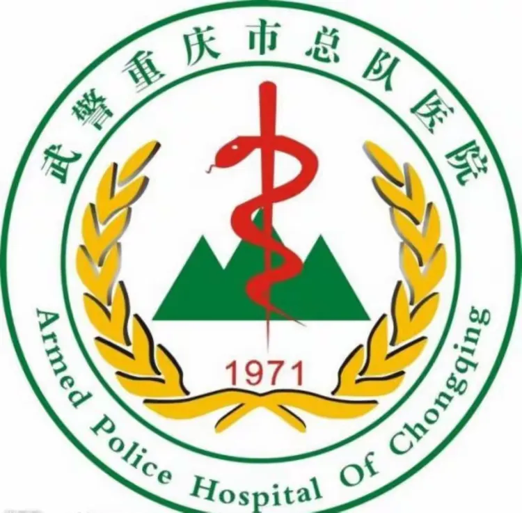 原武警总医院代诊挂号服务行动不便全程照料，看病不再费力的简单介绍