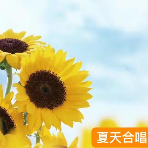 2021，成长的夏天🌻