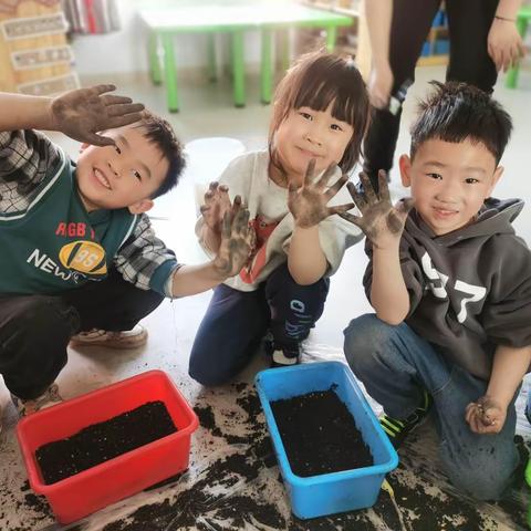 【十二幼保教篇】“呵护绿色，从我做起”--中一班植树节系列活动