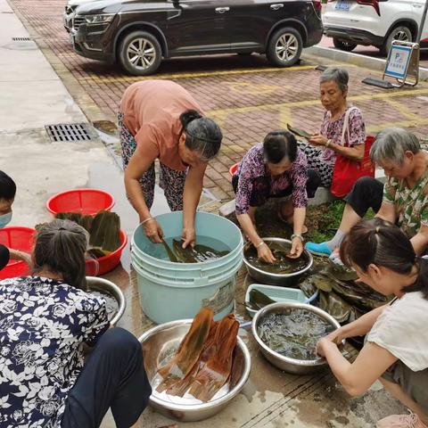 粽香情浓，鱼林长者欢度端午