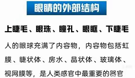 爱眼护眼·守护“视”界——张坊镇中心幼儿园小二班居家系列活动