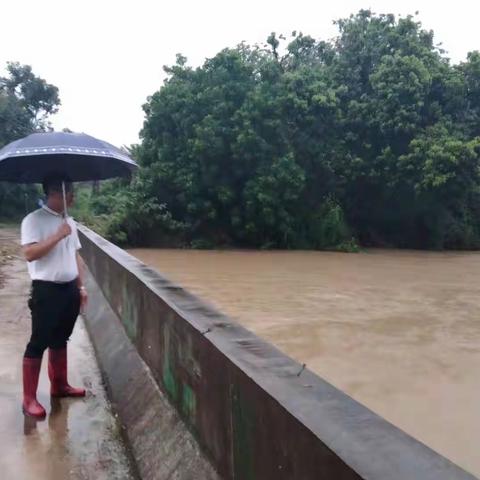 乌坡镇美华村与“狮子”的较量