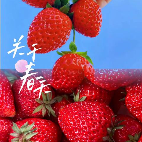 遇见小“莓”🍓好——重石乡中心幼儿园小班组制作草莓酱主题活动