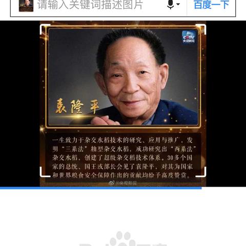 学党史、学先锋------和平小学四（2）中队缅怀袁隆平院士主题线上队活动课