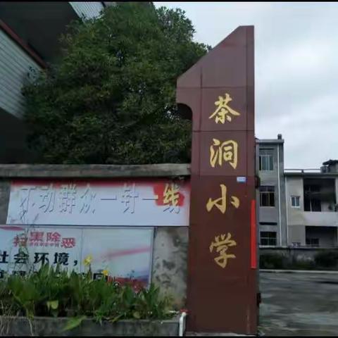 心中有光，展望未来——茶洞小学2021年上半年总结