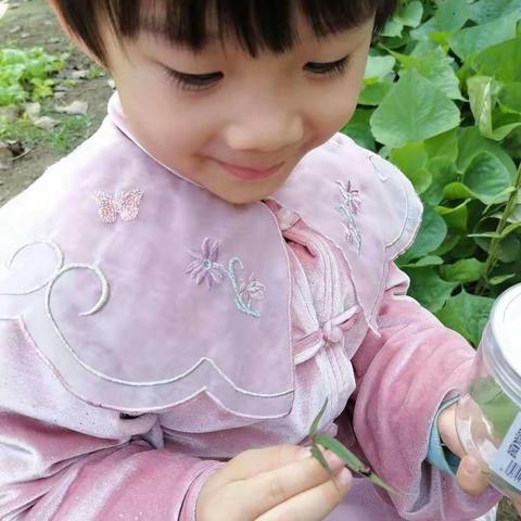 我和秋天的约会